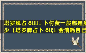 塔罗牌占 🐅 卜付费一般都是多少（塔罗牌占卜 🦆 会消耗自己吗）